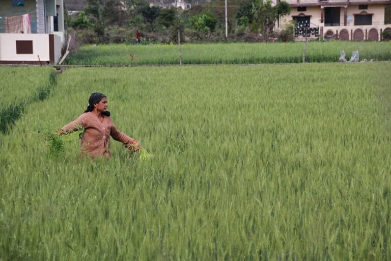 yogaadi_surroundings-4