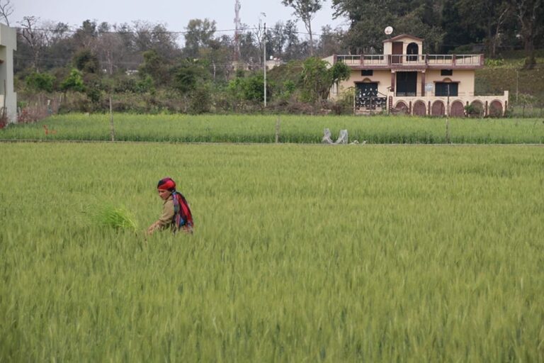 yogaadi_surroundings-6