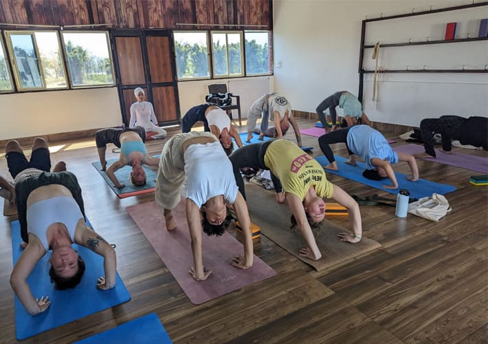 100 hours yoga teacher-training in rishikesh